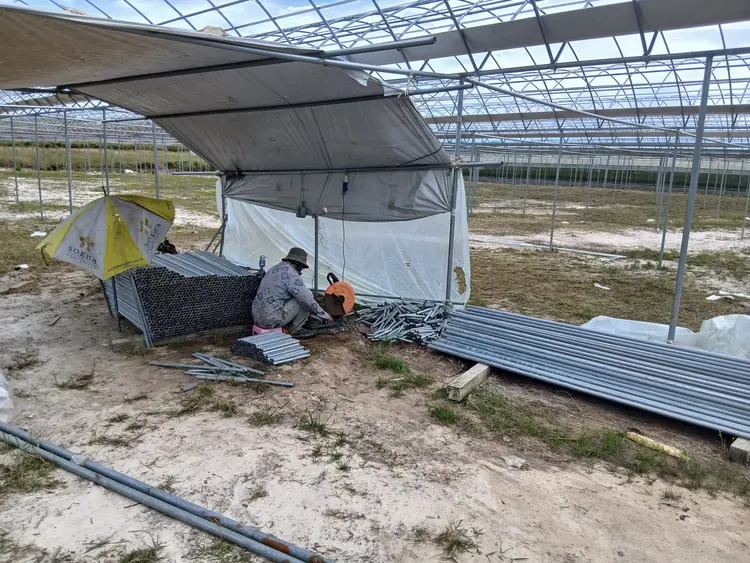 Nơi mây dừng chân ở 1.100m, K-dâu cao cấp nở rộ